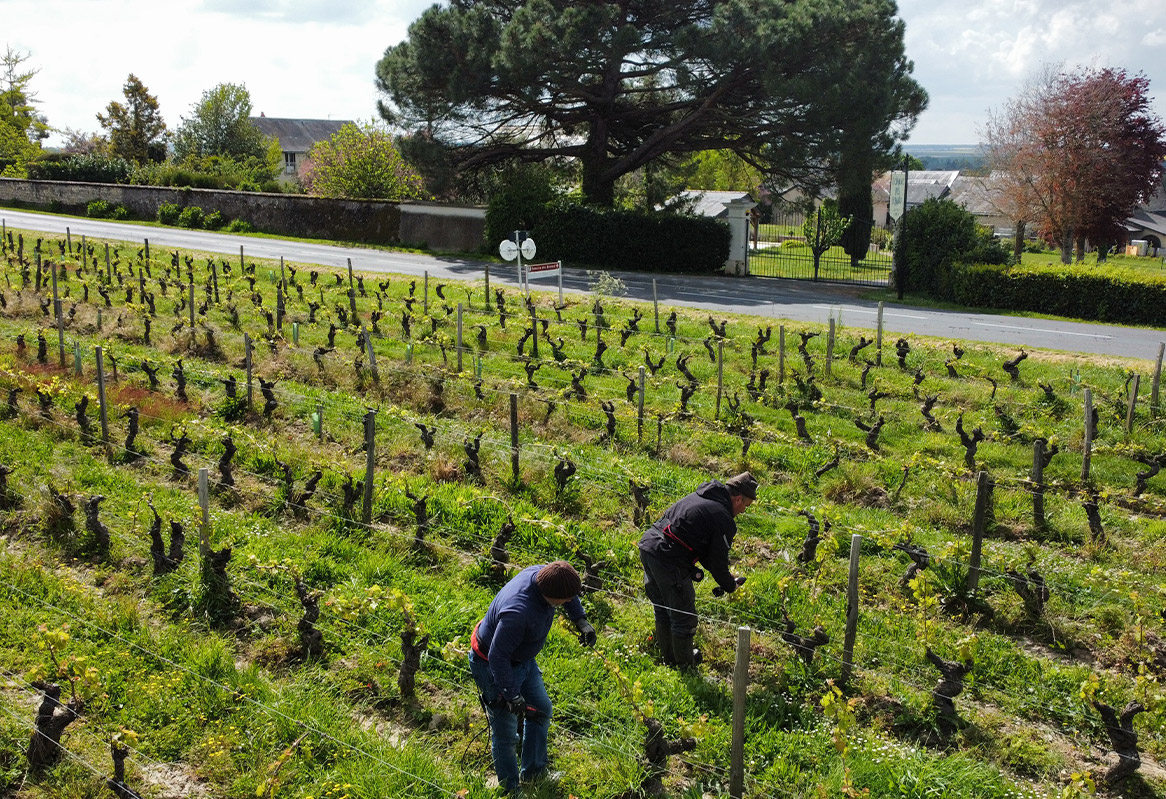 domaine-du-bernard-p
